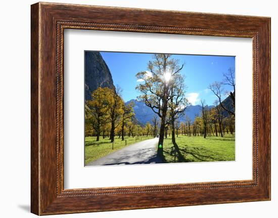 Austria, Tyrol, Autumn-Peter Lehner-Framed Photographic Print