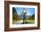 Austria, Tyrol, Autumn-Peter Lehner-Framed Photographic Print