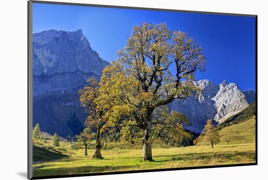 Austria, Tyrol, Autumn-Bernd Rommelt-Mounted Photographic Print