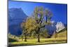 Austria, Tyrol, Autumn-Bernd Rommelt-Mounted Photographic Print