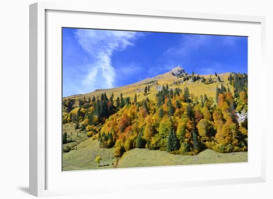 Austria, Tyrol, Autumn-Peter Lehner-Framed Photographic Print