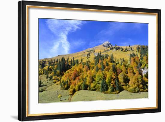 Austria, Tyrol, Autumn-Peter Lehner-Framed Photographic Print