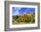 Austria, Tyrol, Autumn-Peter Lehner-Framed Photographic Print