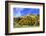 Austria, Tyrol, Autumn-Peter Lehner-Framed Photographic Print