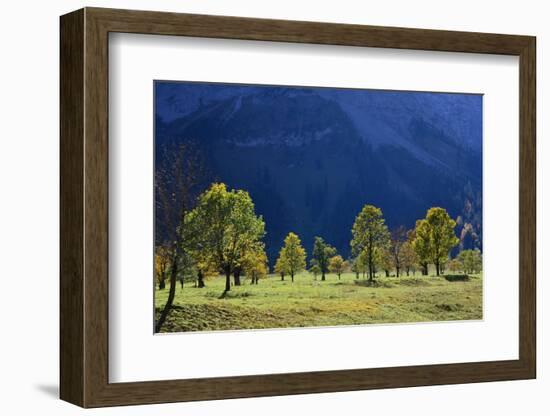 Austria, Tyrol, Autumn-Peter Lehner-Framed Photographic Print