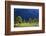 Austria, Tyrol, Autumn-Peter Lehner-Framed Photographic Print