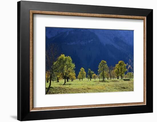 Austria, Tyrol, Autumn-Peter Lehner-Framed Photographic Print