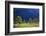 Austria, Tyrol, Autumn-Peter Lehner-Framed Photographic Print