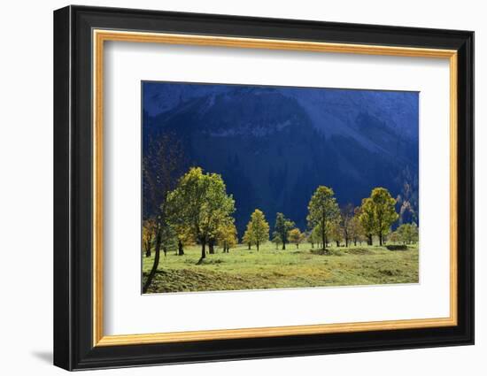 Austria, Tyrol, Autumn-Peter Lehner-Framed Photographic Print