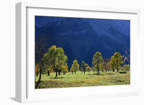 Austria, Tyrol, Autumn-Peter Lehner-Framed Photographic Print