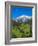 Austria, Tyrol, East Tyrol, Farmhouses-Gerhard Wild-Framed Photographic Print