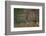 Austria, Tyrol, firewood in front of a wooden facade.-Roland T. Frank-Framed Photographic Print