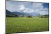 Austria, Tyrol, Reith bei Kitzbuehel, in the background the Kaiser Mountains-Roland T. Frank-Mounted Photographic Print