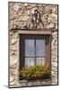 Austria, Tyrol, window of alpine hut with geraniums.-Roland T. Frank-Mounted Photographic Print