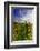 Austria, Vienna, acres of urban vineyards.-Richard Duval-Framed Photographic Print