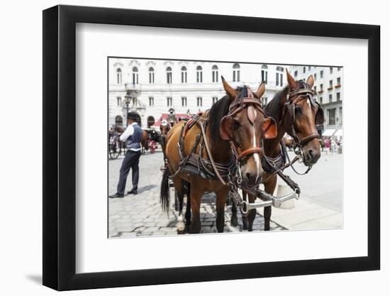 Austria, Vienna, Cab, Horses-Gerhard Wild-Framed Photographic Print