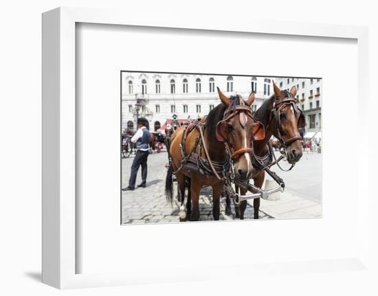 Austria, Vienna, Cab, Horses-Gerhard Wild-Framed Photographic Print