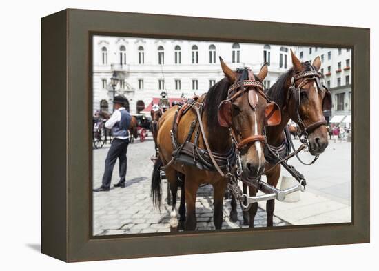 Austria, Vienna, Cab, Horses-Gerhard Wild-Framed Premier Image Canvas