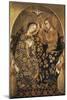 Austria, Vienna, Coronation of the Virgin Mary-null-Mounted Giclee Print