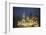 Austria, Vienna, Rathaus, Town Hall, Christmas-Walter Bibikow-Framed Photographic Print