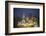 Austria, Vienna, Rathaus, Town Hall, Christmas-Walter Bibikow-Framed Photographic Print