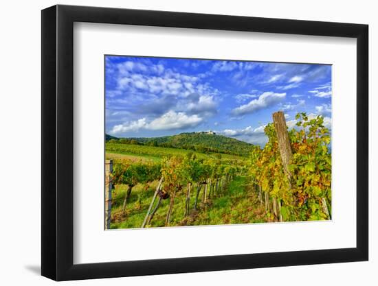 Austria, Vienna, urban vineyards.-Richard Duval-Framed Photographic Print