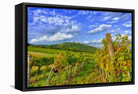 Austria, Vienna, urban vineyards.-Richard Duval-Framed Premier Image Canvas