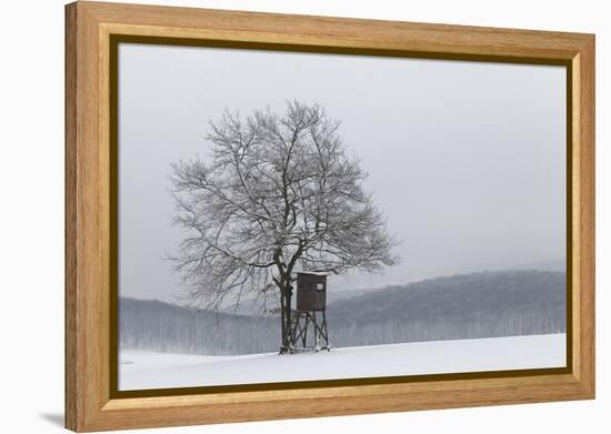 Austria, Winter Landscape, Forest, Single Tree, Raised Hide, Snow-Gerhard Wild-Framed Premier Image Canvas