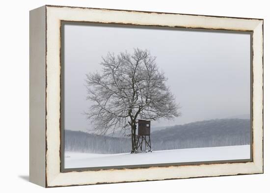 Austria, Winter Landscape, Forest, Single Tree, Raised Hide, Snow-Gerhard Wild-Framed Premier Image Canvas