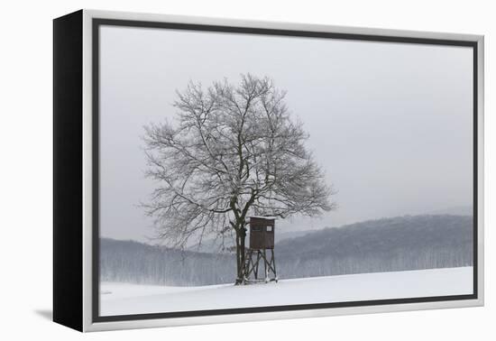 Austria, Winter Landscape, Forest, Single Tree, Raised Hide, Snow-Gerhard Wild-Framed Premier Image Canvas