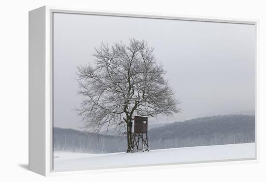 Austria, Winter Landscape, Forest, Single Tree, Raised Hide, Snow-Gerhard Wild-Framed Premier Image Canvas