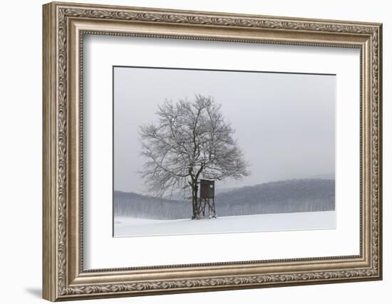 Austria, Winter Landscape, Forest, Single Tree, Raised Hide, Snow-Gerhard Wild-Framed Photographic Print