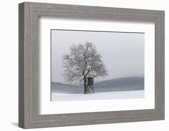 Austria, Winter Landscape, Forest, Single Tree, Raised Hide, Snow-Gerhard Wild-Framed Photographic Print