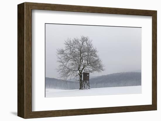 Austria, Winter Landscape, Forest, Single Tree, Raised Hide, Snow-Gerhard Wild-Framed Photographic Print