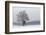 Austria, Winter Landscape, Forest, Single Tree, Raised Hide, Snow-Gerhard Wild-Framed Photographic Print