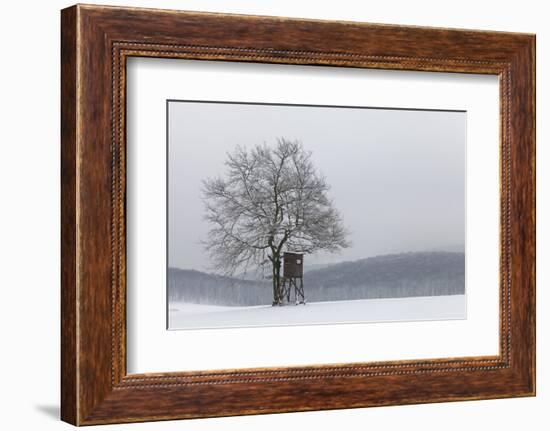 Austria, Winter Landscape, Forest, Single Tree, Raised Hide, Snow-Gerhard Wild-Framed Photographic Print