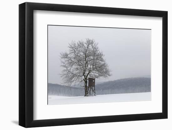 Austria, Winter Landscape, Forest, Single Tree, Raised Hide, Snow-Gerhard Wild-Framed Photographic Print