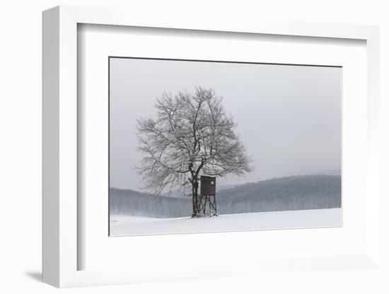 Austria, Winter Landscape, Forest, Single Tree, Raised Hide, Snow-Gerhard Wild-Framed Photographic Print