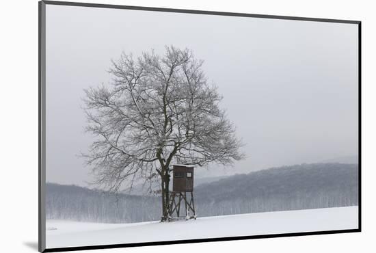 Austria, Winter Landscape, Forest, Single Tree, Raised Hide, Snow-Gerhard Wild-Mounted Photographic Print