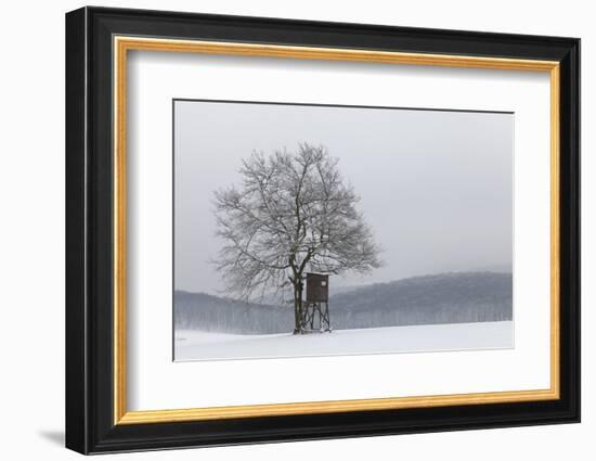 Austria, Winter Landscape, Forest, Single Tree, Raised Hide, Snow-Gerhard Wild-Framed Photographic Print