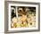 Austrian Alps are Also Famous for Cheese, Salzburg, Austria-Richard Nebesky-Framed Photographic Print