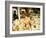 Austrian Alps are Also Famous for Cheese, Salzburg, Austria-Richard Nebesky-Framed Photographic Print