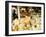 Austrian Alps are Also Famous for Cheese, Salzburg, Austria-Richard Nebesky-Framed Photographic Print