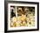 Austrian Alps are Also Famous for Cheese, Salzburg, Austria-Richard Nebesky-Framed Photographic Print