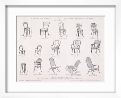 Austrian Bentwood Chairs from Hampton and Sons Catalogue of Furniture,  c.1902' Giclee Print | Art.com
