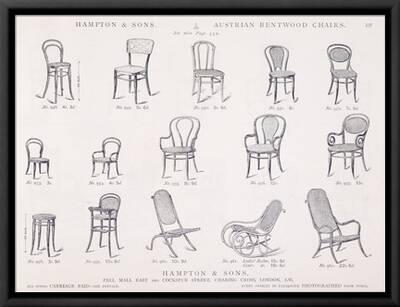 Austrian Bentwood Chairs from Hampton and Sons Catalogue of Furniture,  c.1902' Giclee Print | Art.com
