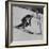 Austrian Skier Toni Sailer Competing During the Winter Olympics-null-Framed Premium Photographic Print