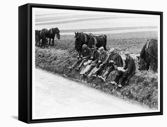 Authentic Ploughman's!-null-Framed Premier Image Canvas