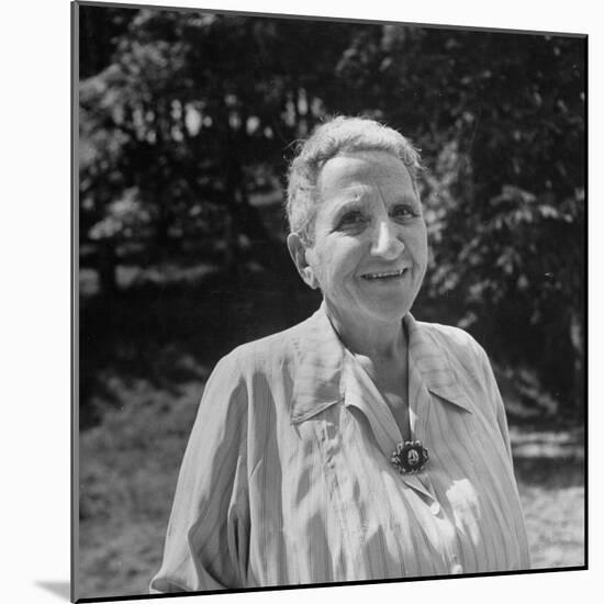 Author Gertrude Stein Outdoors Alone-Carl Mydans-Mounted Premium Photographic Print