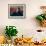 Author Harold Bloom at Home in His Apartment-Ted Thai-Framed Premium Photographic Print displayed on a wall